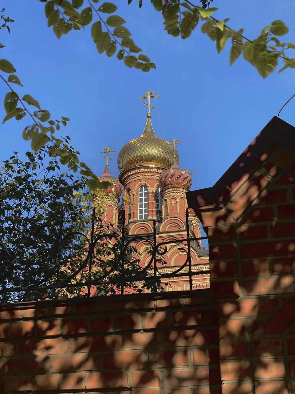 Иоанно-Предтеченский монастырь: Главы монастырского храма над оградой, 2023 год